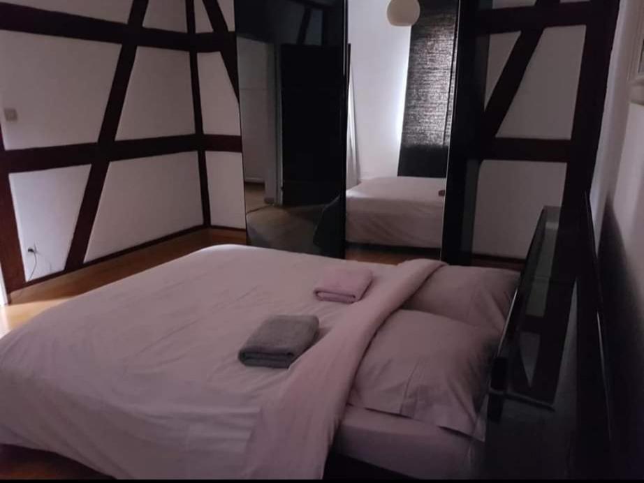 Spacious Appartement Colmar 2 Exteriér fotografie